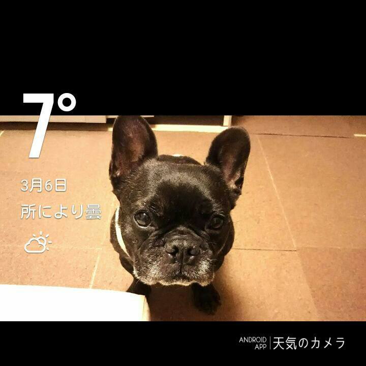 A7620e4d c8de 45b6 b077 fc5ce7c46163