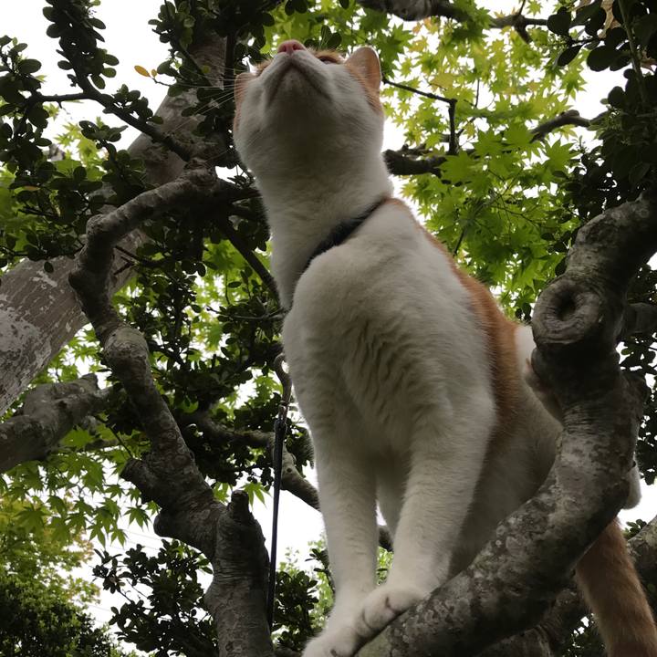 A762644b 227d 4999 a8fa 2eaa9fdbcfad