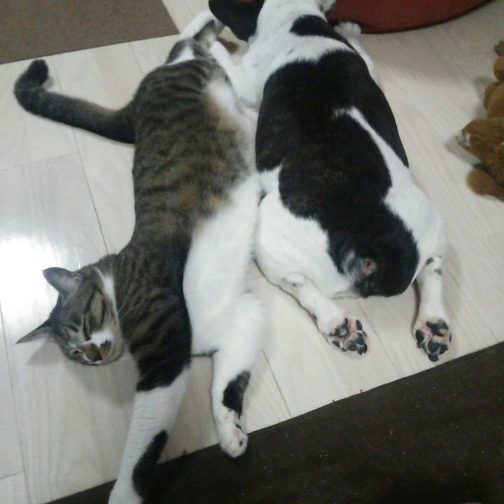 A7627a5b f051 4bcb abc7 75cfd86a87a4