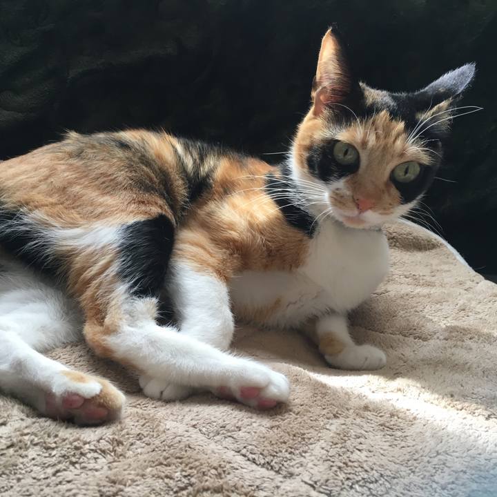 A7631928 1a51 402a a00c ad1348ec337f