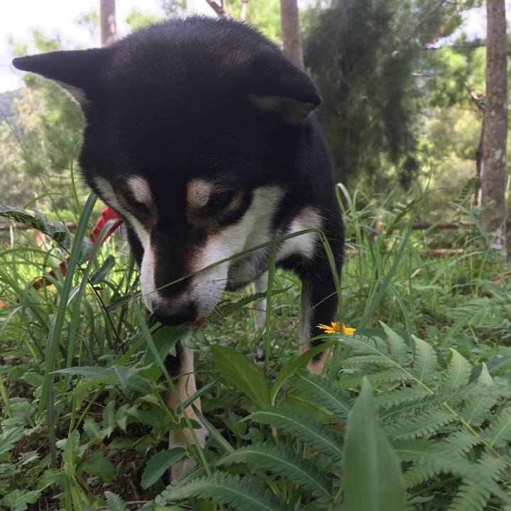 A7639d2b f5e8 4208 b935 cc57003fdba4