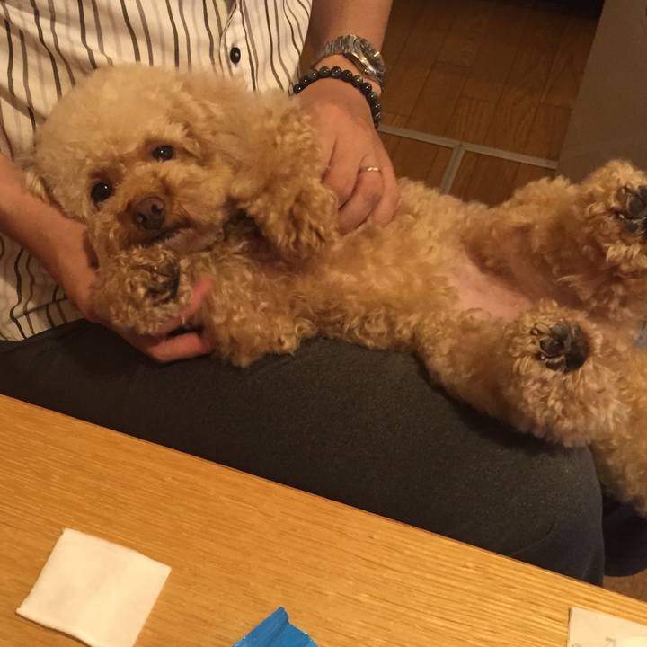 A763badf eed6 43c3 96f2 c12ec9407a41