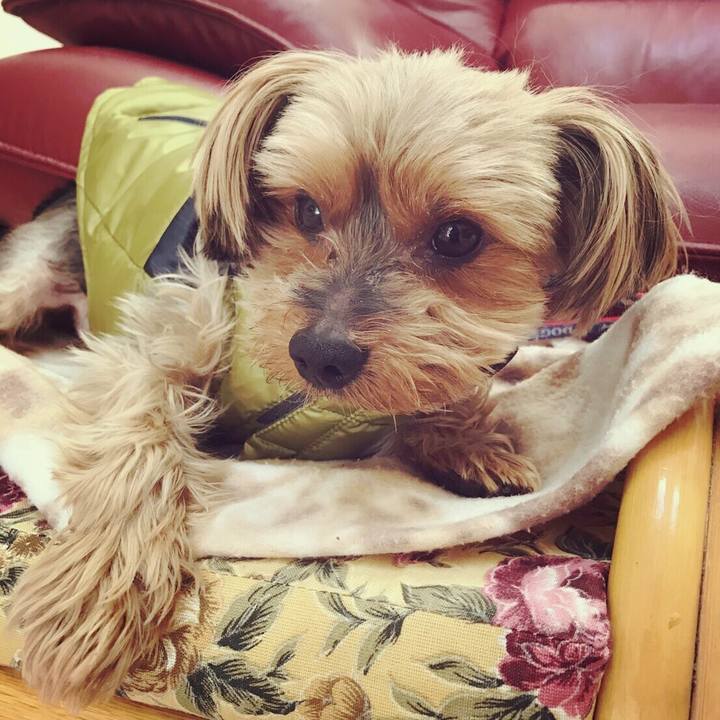 A76403b3 6ae8 4bc5 839c a619c8a09772