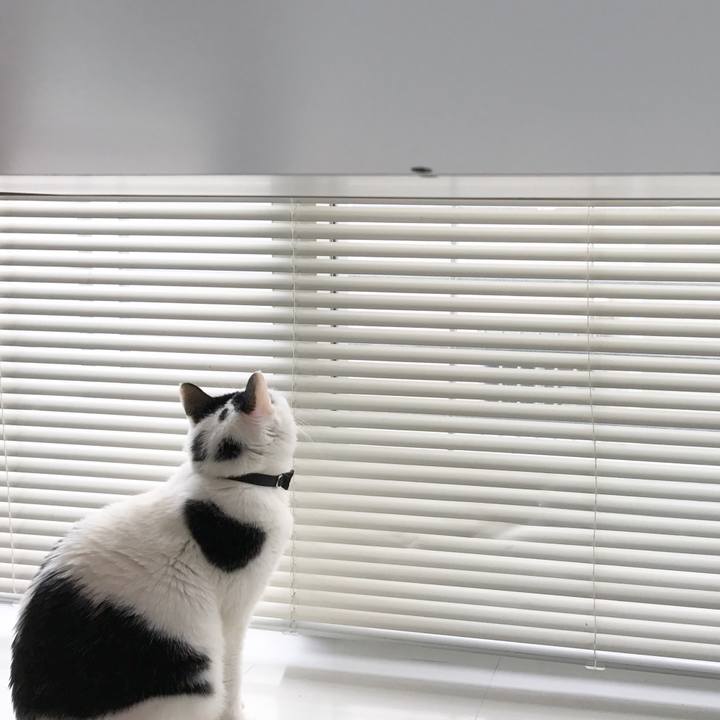 A7651ab9 2f55 4049 ab7f de6cea98050c