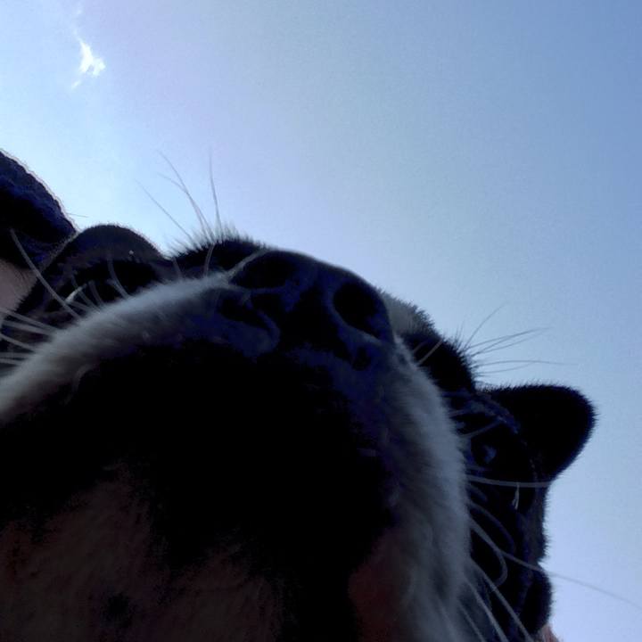 A765b064 f240 4dc7 9175 2e1c7e44c8ba