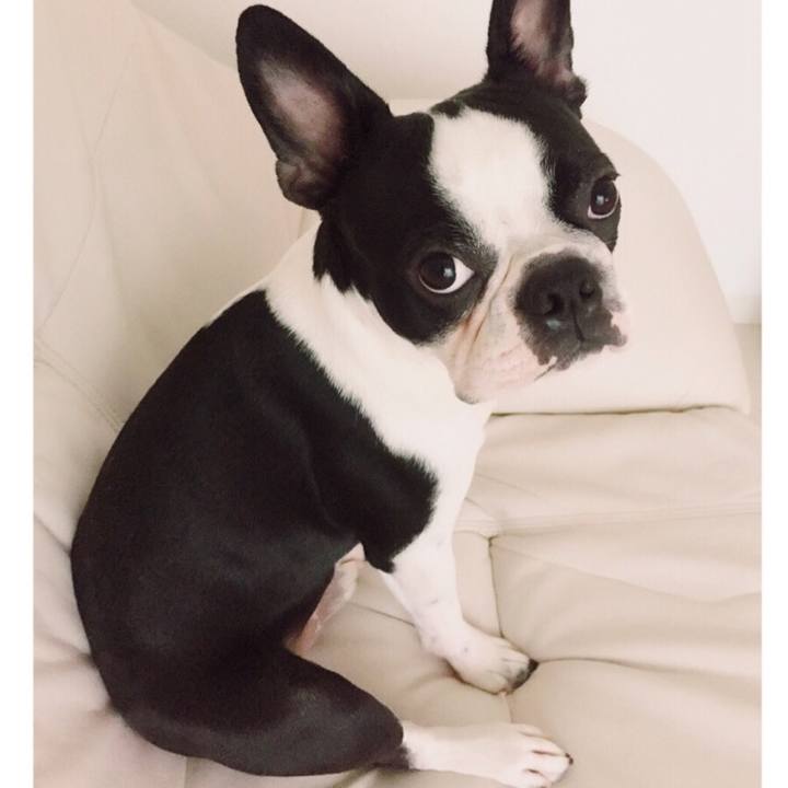 A765c616 9b0d 4943 9f3c 16f30e9ffc5f