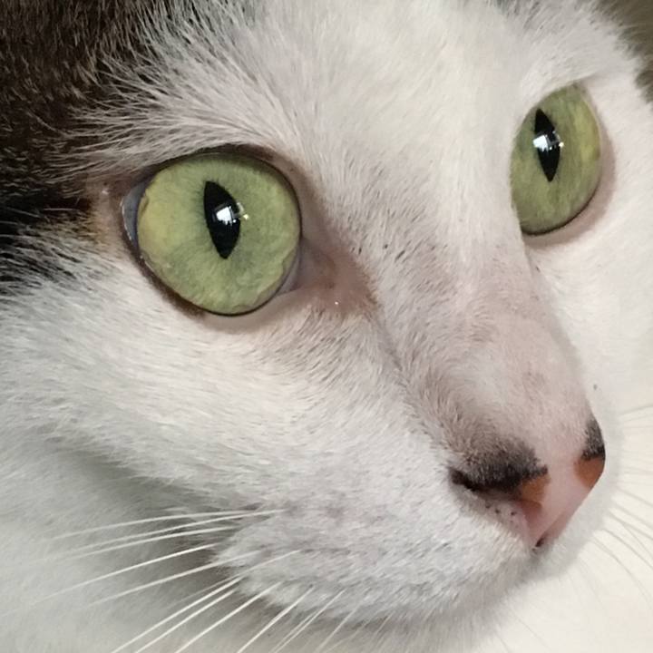 A765d20d 53b1 4db2 b4f2 7f3449da6005