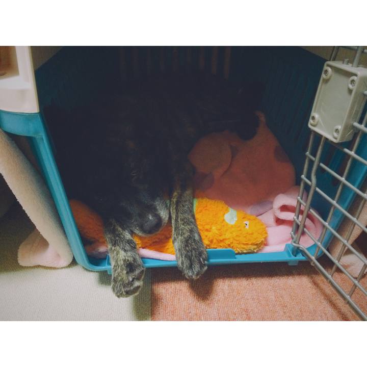 A7665e01 31e8 4d6c 80df dbaa695b6a5c