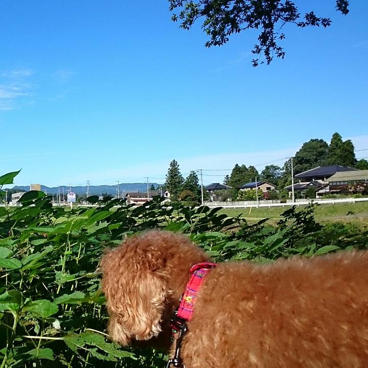 A766625c 8ed2 4e15 85ec 1030f59f4bb1