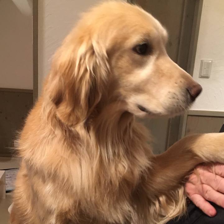 A7666b7b 4329 4a13 bffa 268cf4a01d46