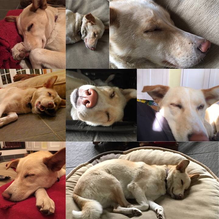 A7668282 3752 4ef7 afaa 54783ba967ad