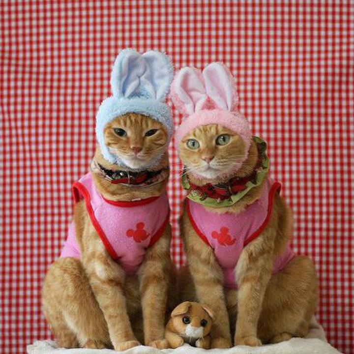 A766f936 0b10 4d37 805d 990de6d4ad6a