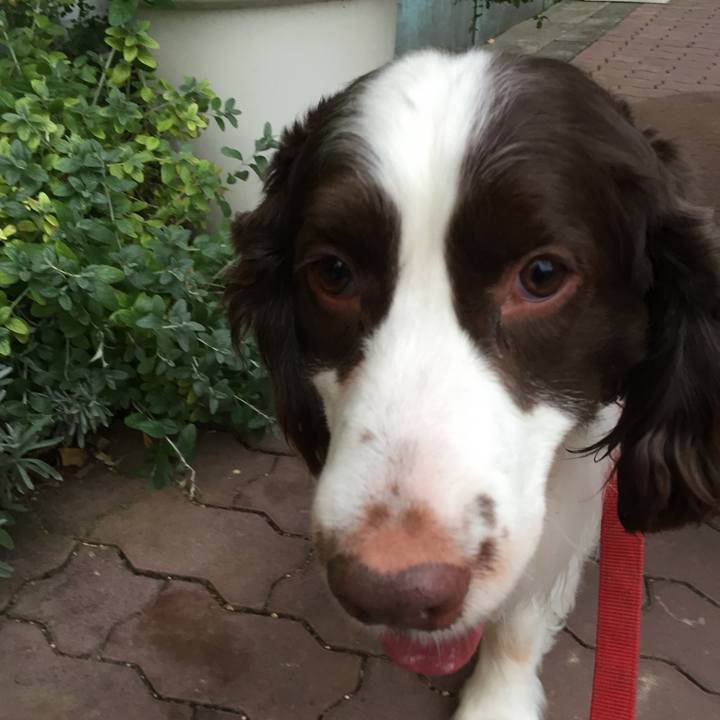 A7674bc5 ee88 40fa 85d6 bd24a8916103