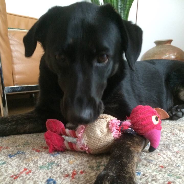 A767803a 9593 4d6a 97da e568ecbd94c0