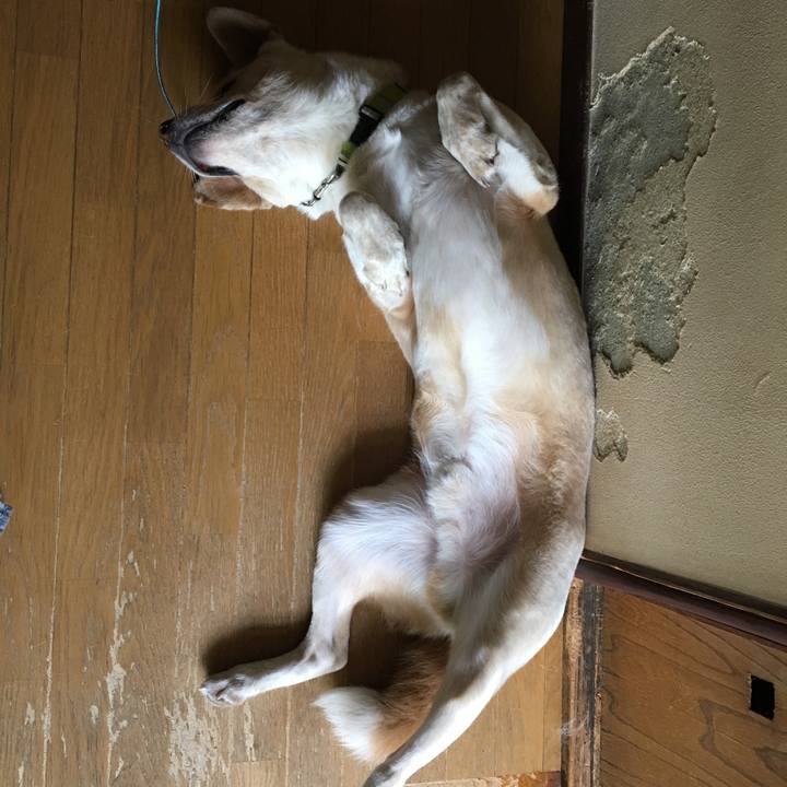 A7683b27 6bd2 4e06 8f06 4305c23de16c