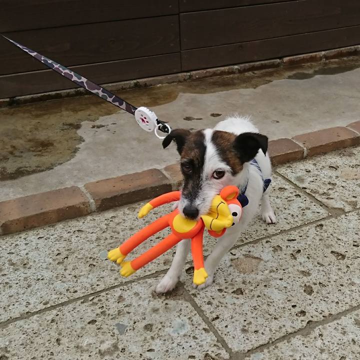 A7688de1 8f3c 4c4b bd31 bc96f6df3388