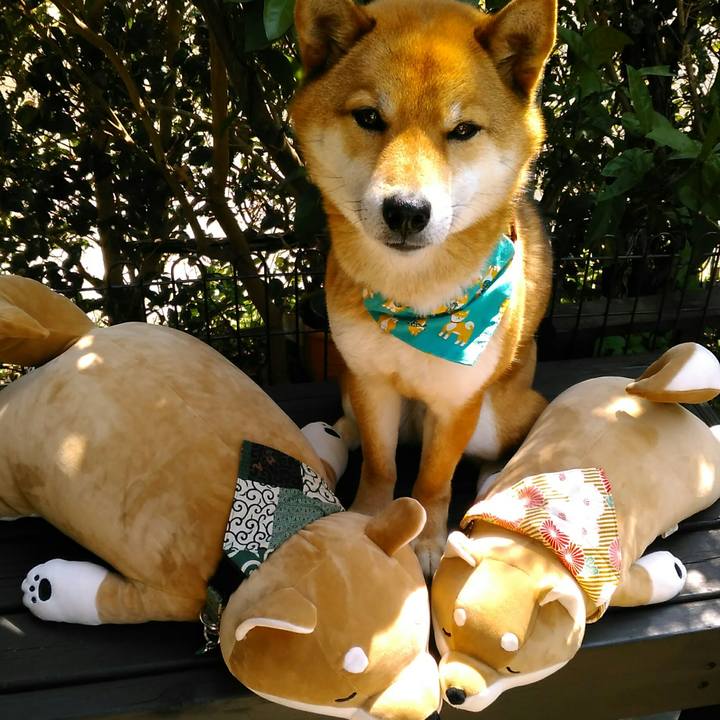 A768d2bd 9bb6 45e0 9a8d b048323f79ac