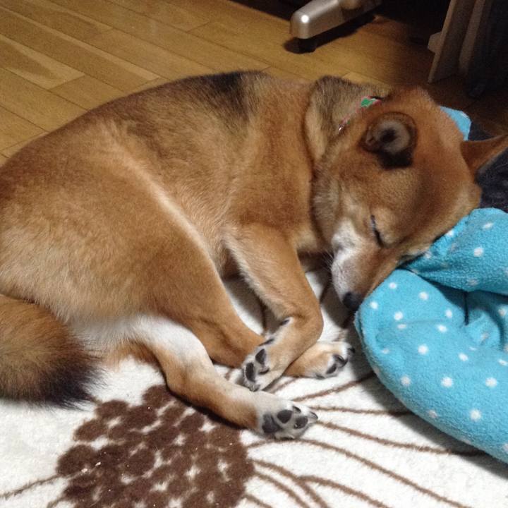 A7693591 0ed1 44f6 8a04 eeb1dc48cbe3