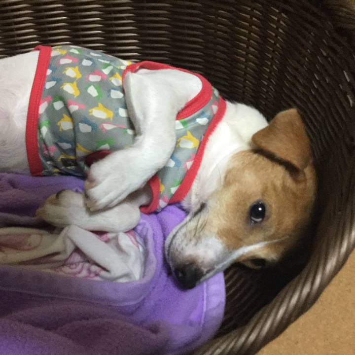 A76b55a2 121d 4b82 9e60 41224b00b6bd