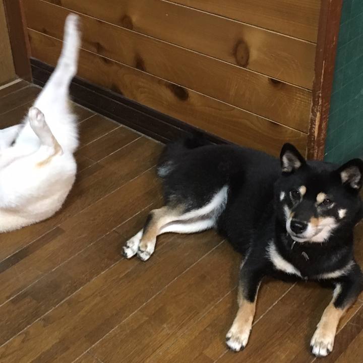 A76bd71b 0fab 4c7b 8d0a 36e8f2ade74a