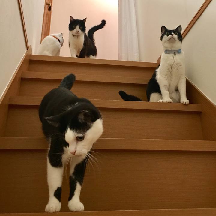 A76c0882 c8e9 4ed6 9d04 27e06746a71b