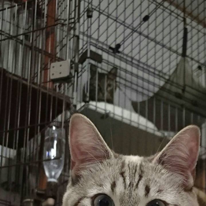 A76cfb00 ad4a 47bd 86e4 b2b9e34b54d2