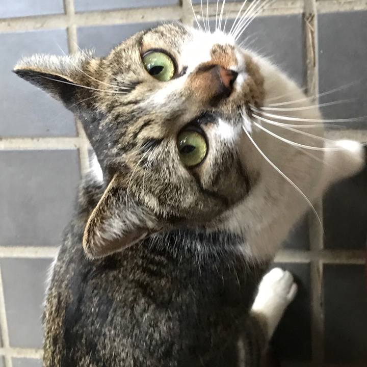 A76da540 0bd0 40d1 8cc7 21416d445479