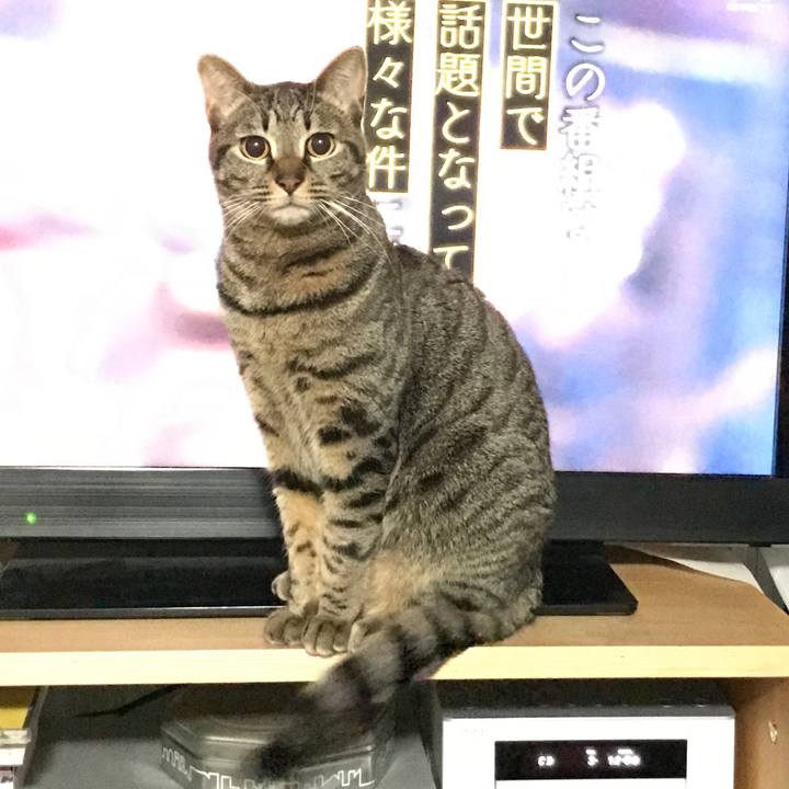 A76dcd5e de04 443f b835 d688f7a27d60