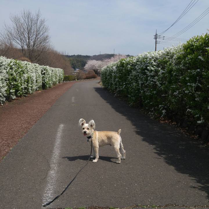 A76e12e3 67b8 41cc a7a9 2bf606bf4eb3