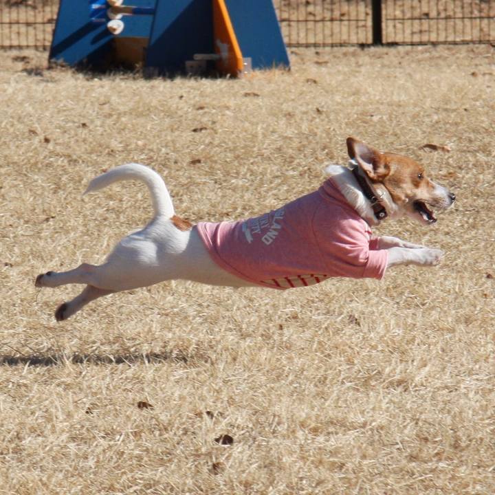 A76e3b8f a369 44c8 8736 3dae65374f62