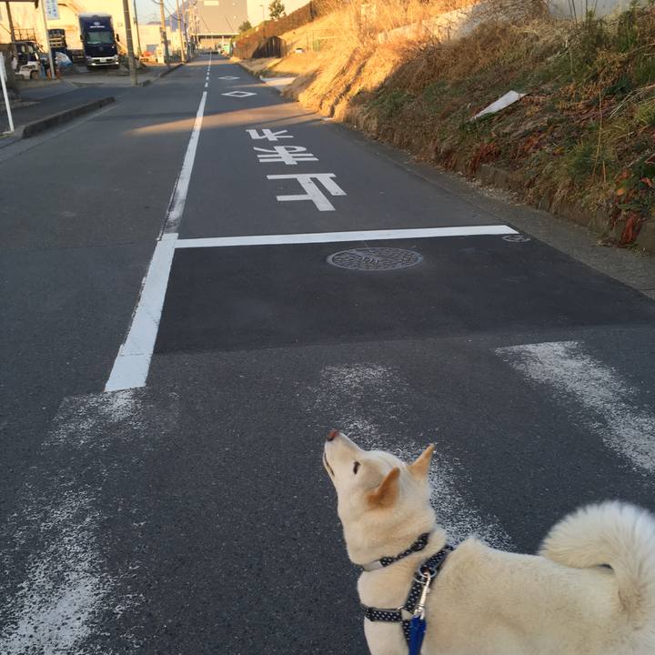 A76e51e4 c784 4d77 9e67 1e3c156acf8d