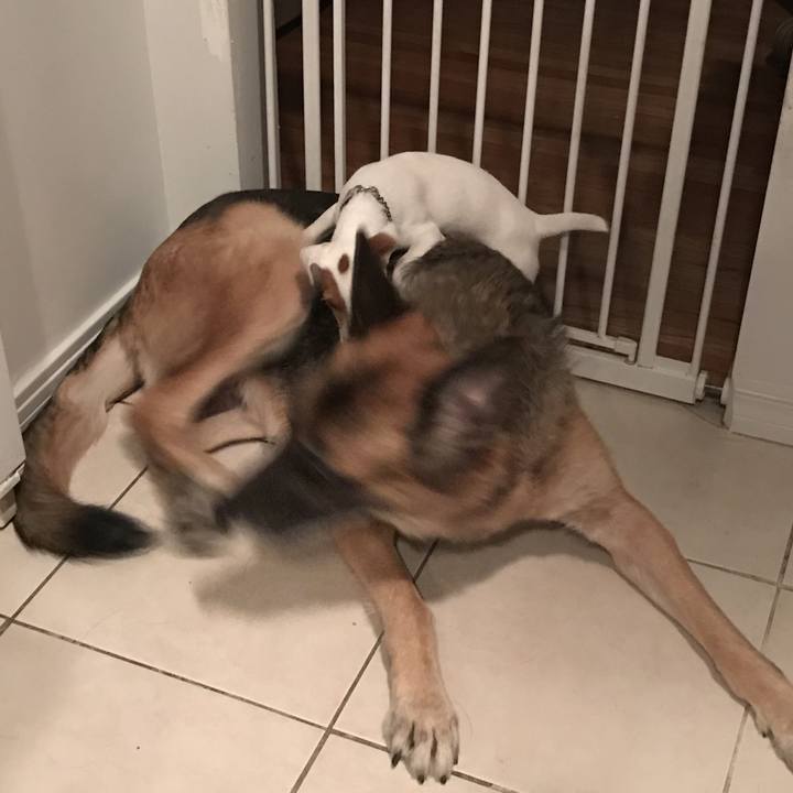 A76ea0d0 1b09 4899 a53f 7303e2574993