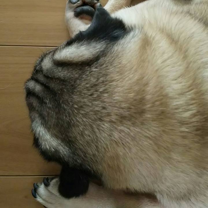 A76f254b 1e62 40c6 8f8b cab96fa4efa8