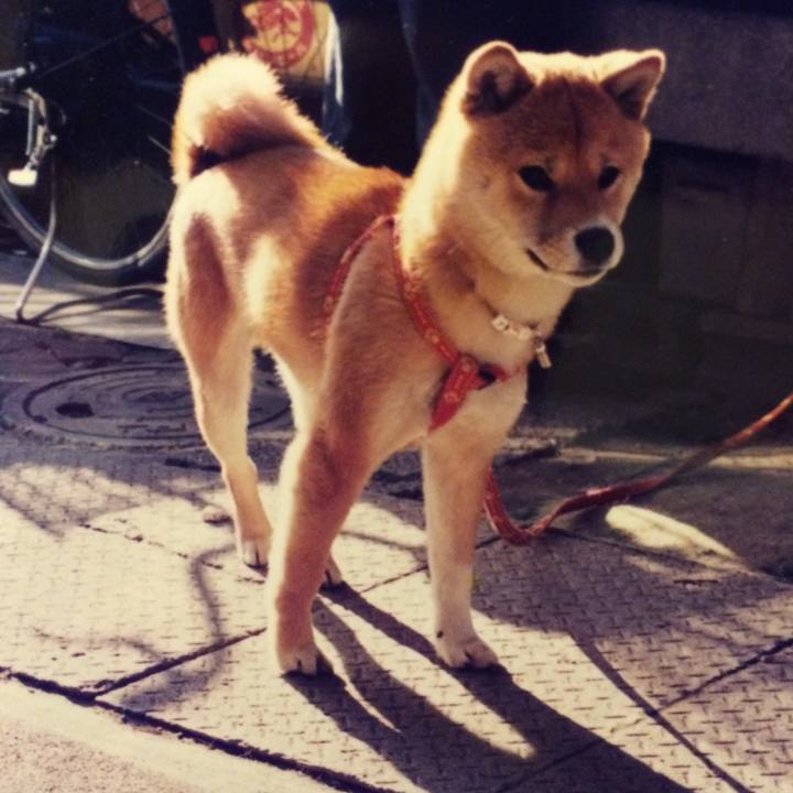 A76fc809 4bd6 47a8 add9 f83508d74a99