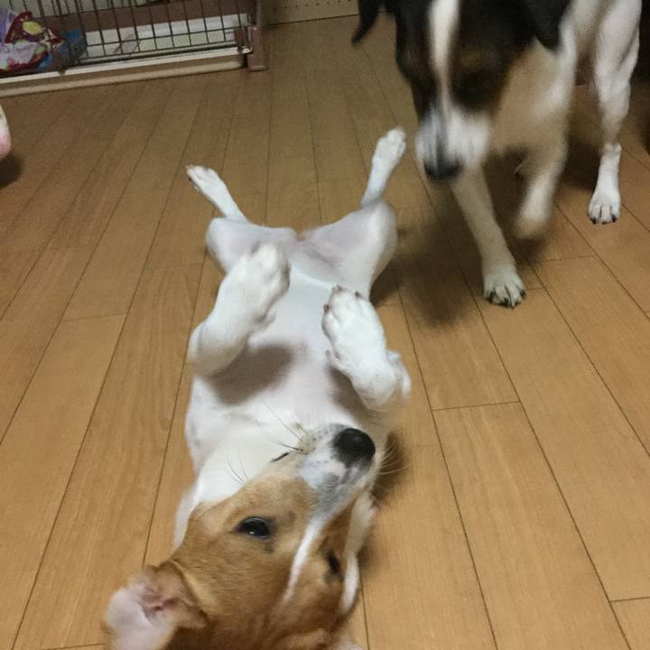 A7705cb7 86cf 425a bd18 b649373581f1