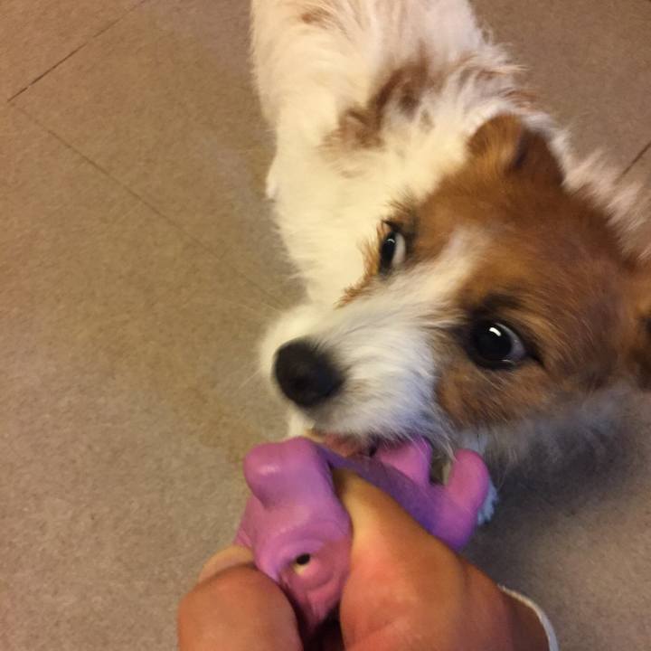 A770ad93 8fa6 4be4 abdc f3d9fcb2a37b