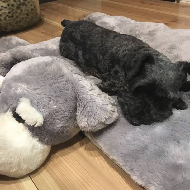 A770c556 9766 47e6 ab47 dcefc51ebf2e