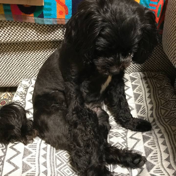 A770c557 f506 4caf 8986 33681a0052d0