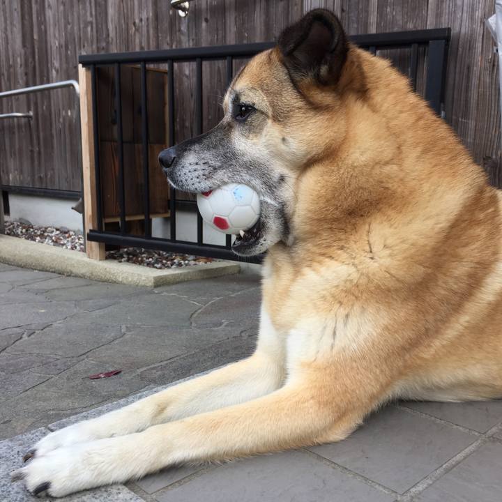 A7712a44 7c00 411f 9609 939db51cf0de