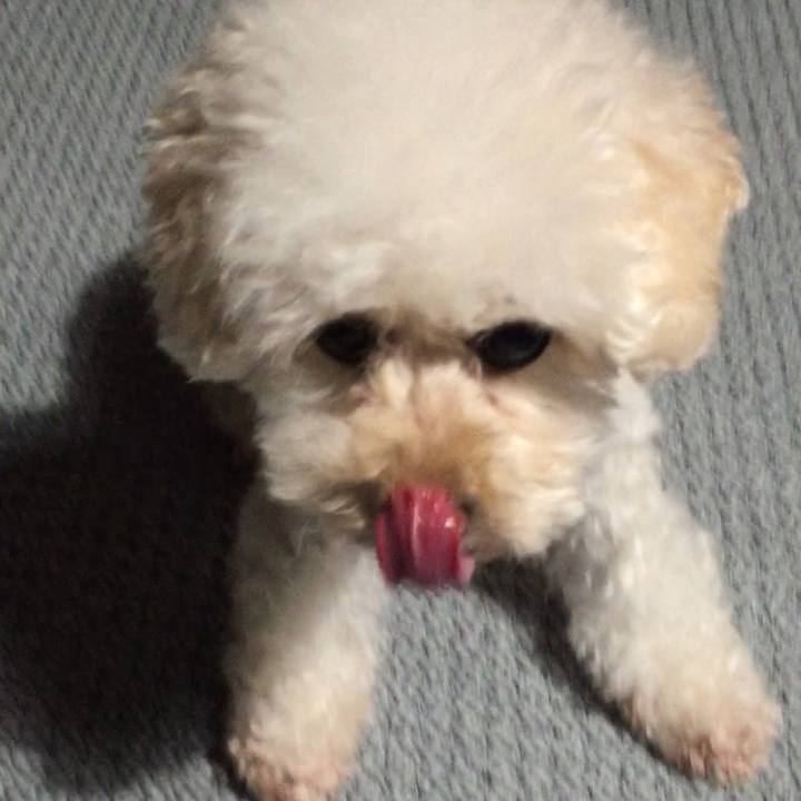 A771a7f2 c430 49e4 9e81 4ed8eb54ad9a