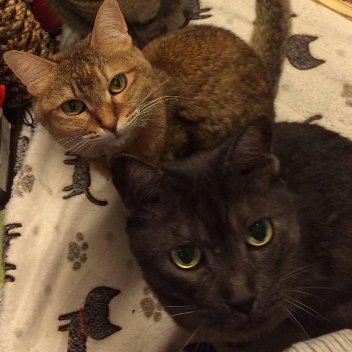 A771af1c a75c 4f41 88b8 de1749a548a8