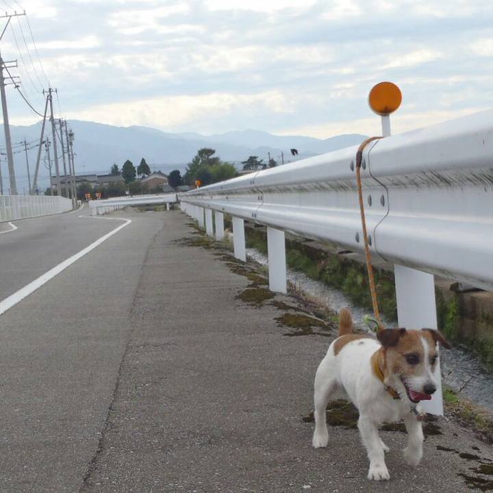 A771ce7b 5a7a 45bb b264 1ec55f09a636