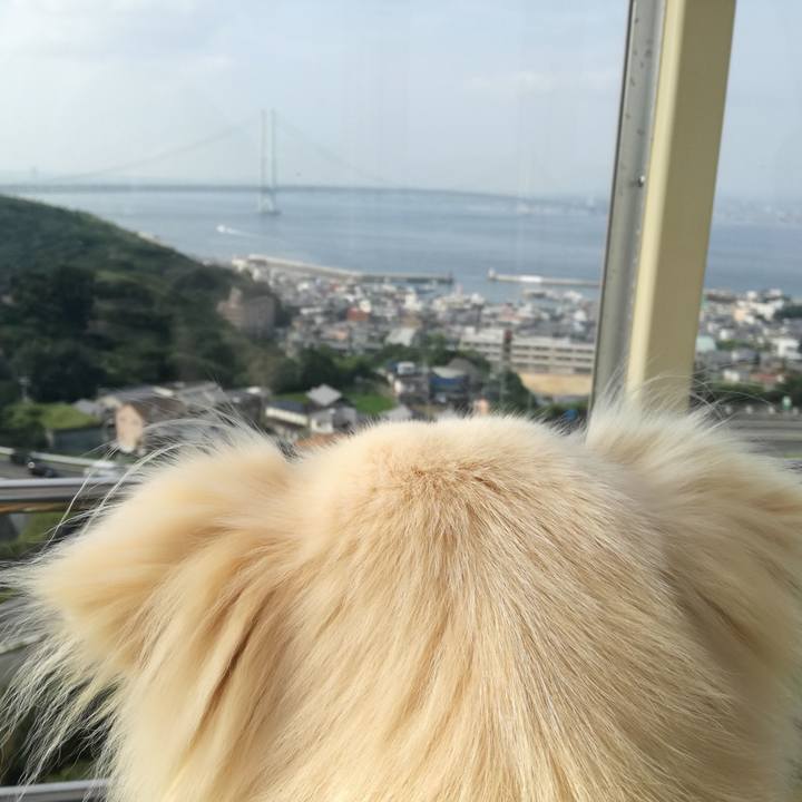 A771d887 d6a3 4d95 87dd 3c77f3bdb1cd