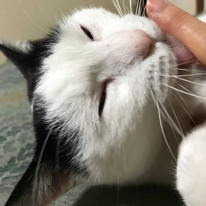 A7725239 47e6 4f78 8fff 8308987b8a2c