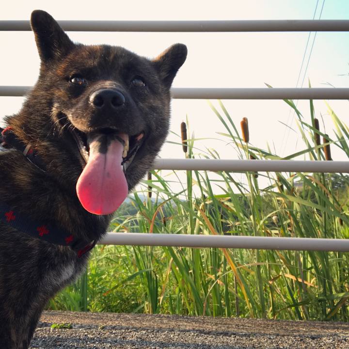 A7725bca 5647 4adb aa71 3f8d1862b0d1