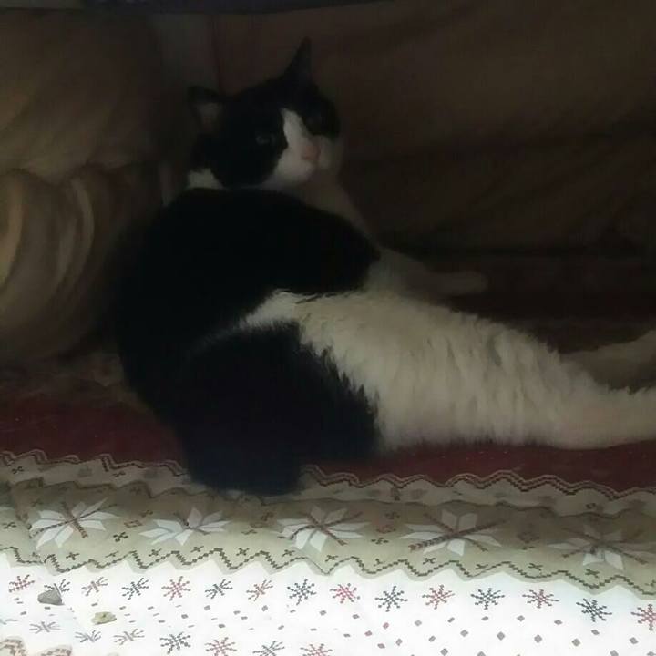 A772761f aa07 4ddc 82f3 91030ff3fa1b