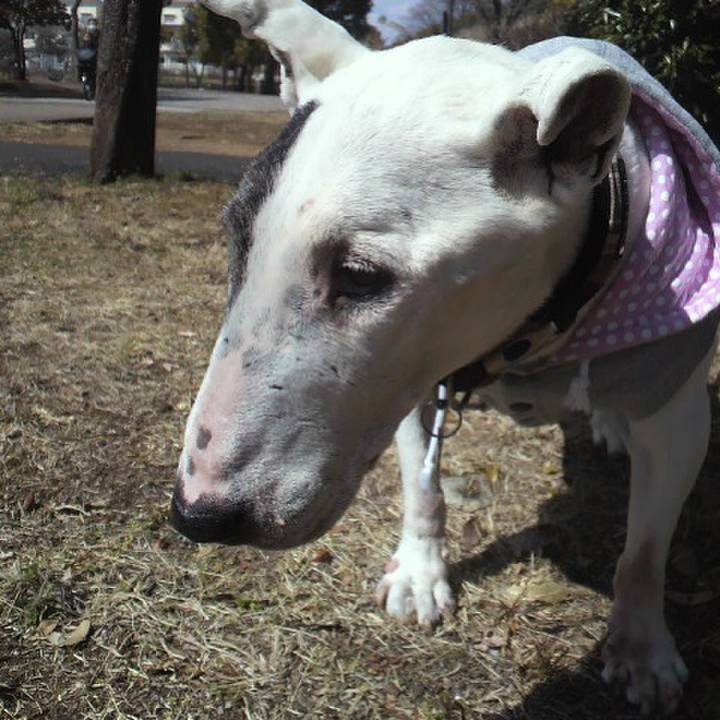 A773830c b375 44cb a77e 313f99860d1a