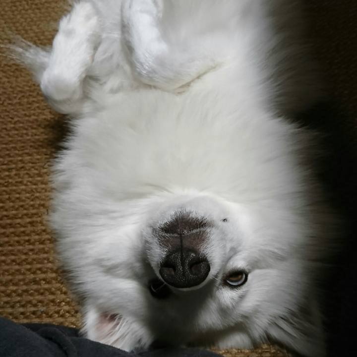 A773a4ef 1332 4391 a18d 086deb39bc06