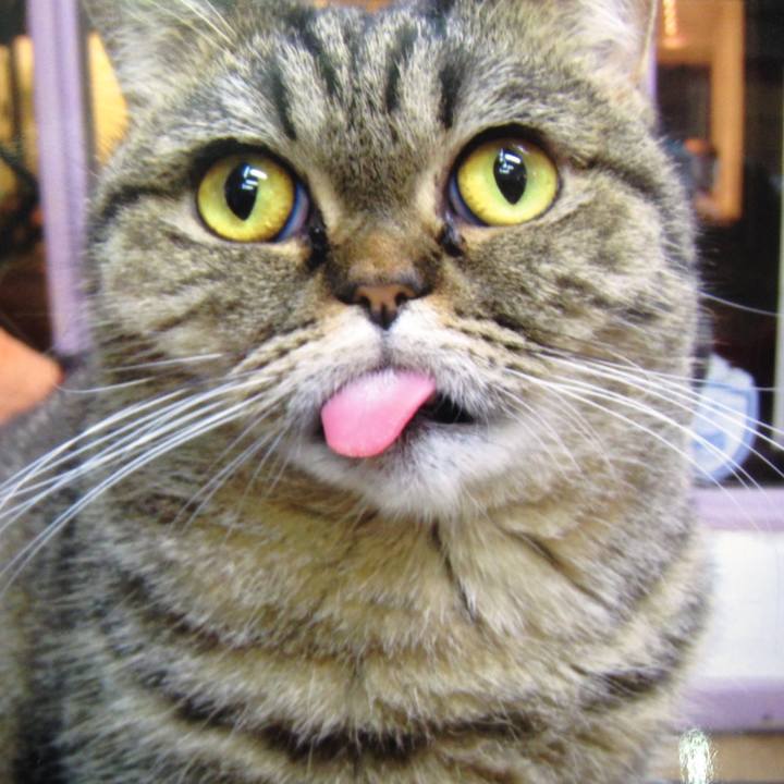 A774ef56 0a9c 483f 97e0 d7c778e66657