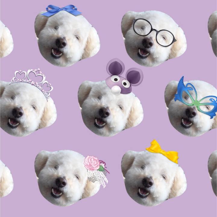 A775509c 8619 4533 b61d e0d84039ee91